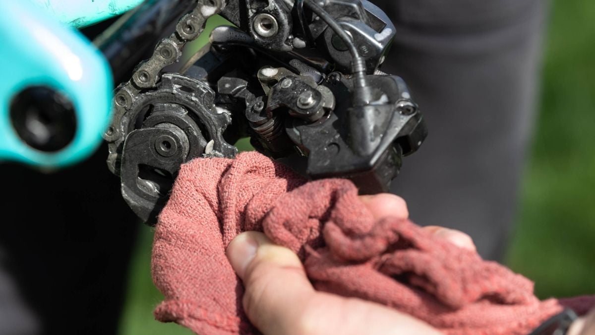 Derailleur Cleaning