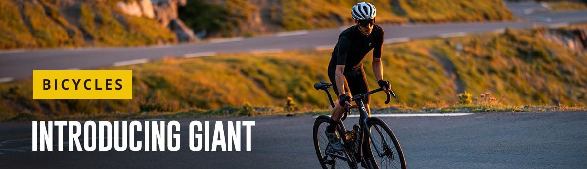 Giant Bicycles at Bike Tires Direct