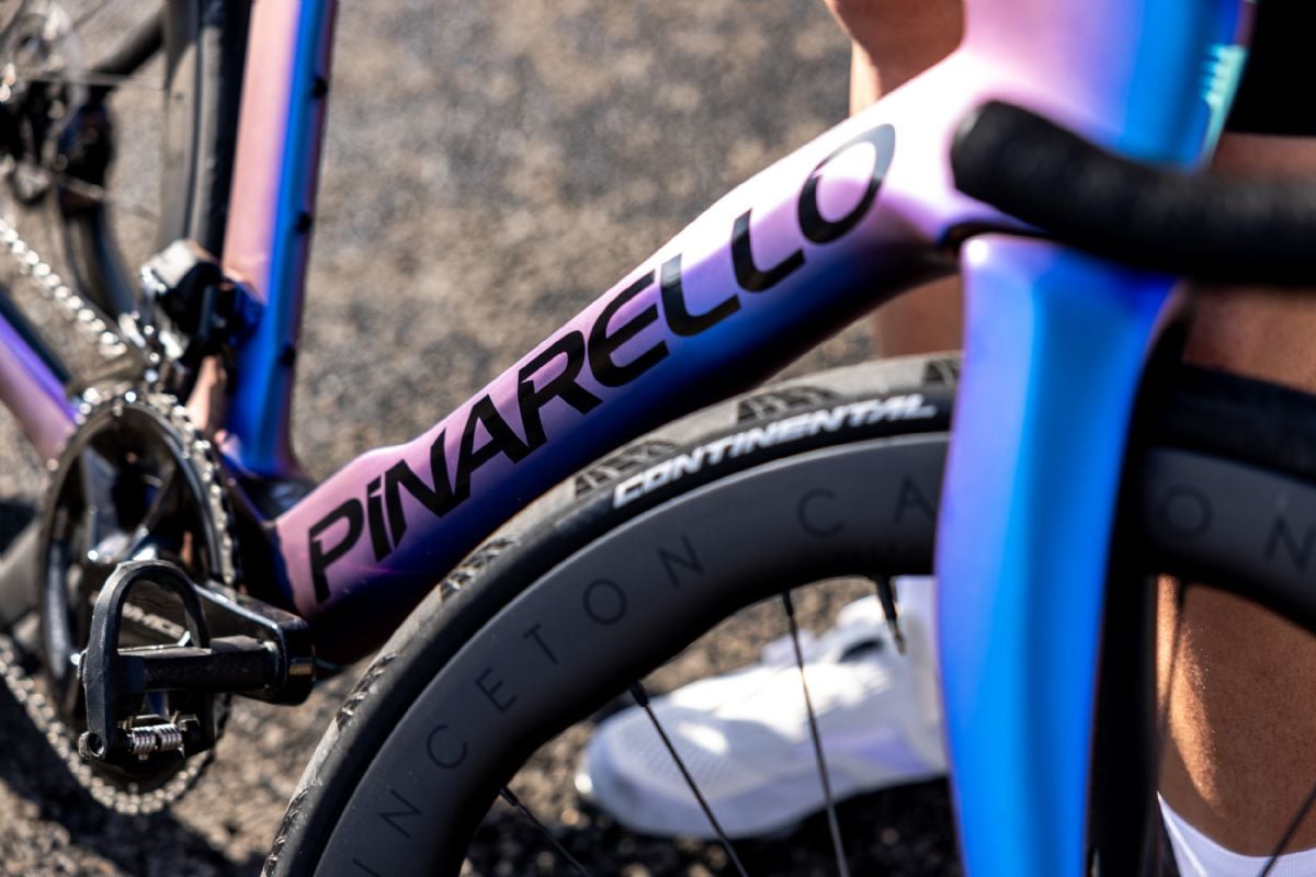 Close up of Pinarello downtube